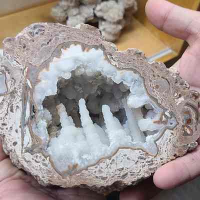 Thunderegg New Mexico