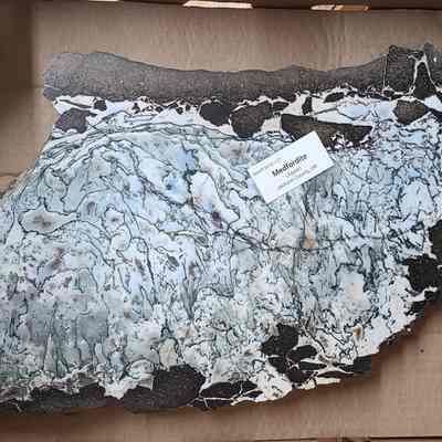 Medfordite