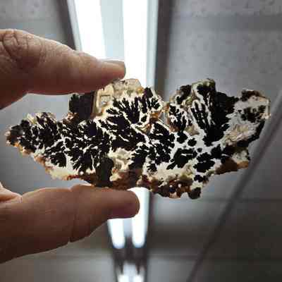 Plume Agate