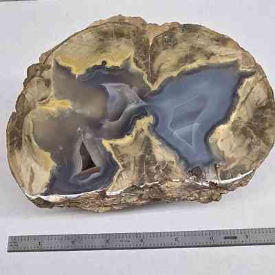 Thunderegg