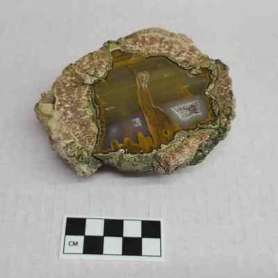 Thunderegg