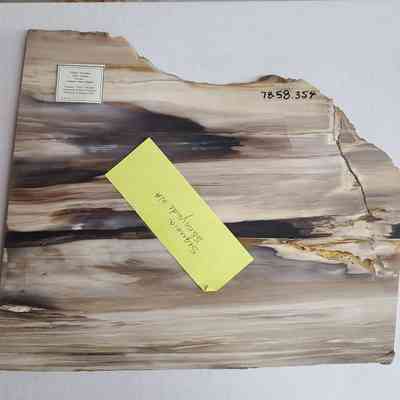 B reverse side