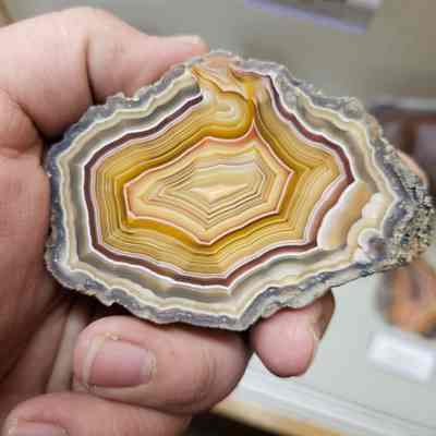 Laguna Agate
