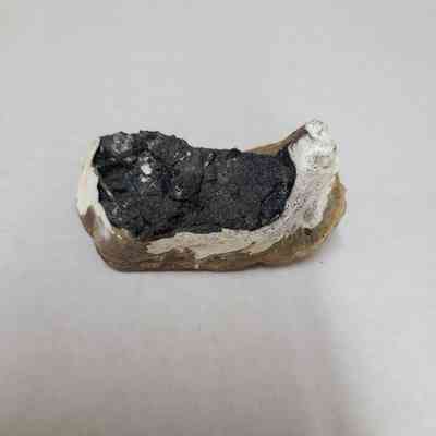 Vivianite in shell fossil