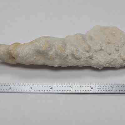 Stalactite