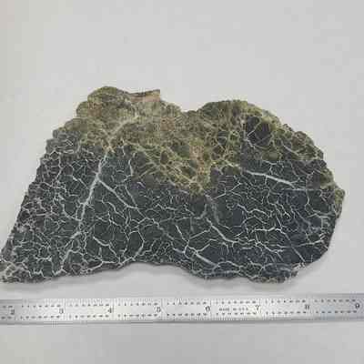 Olivine