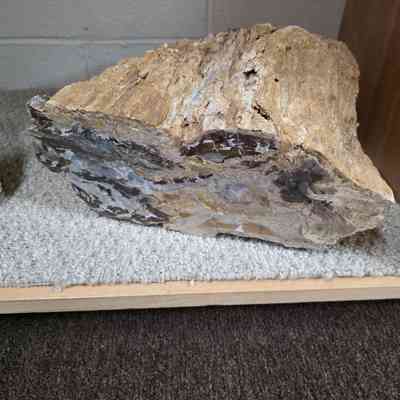 Agate log