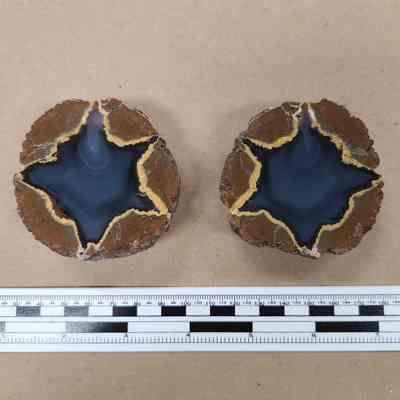 Thunderegg
