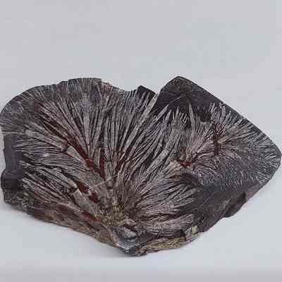 Pseudomorph Barite