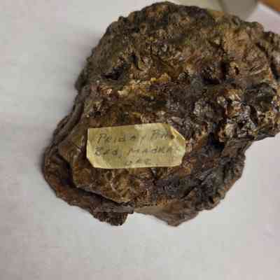 Masking tape with written locality attached to reverse side