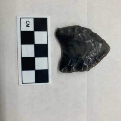 Projectile Point