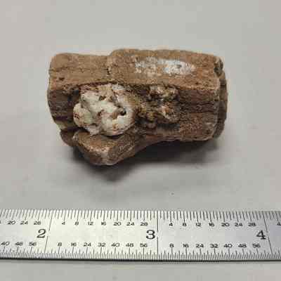 Calcite after Aragonite