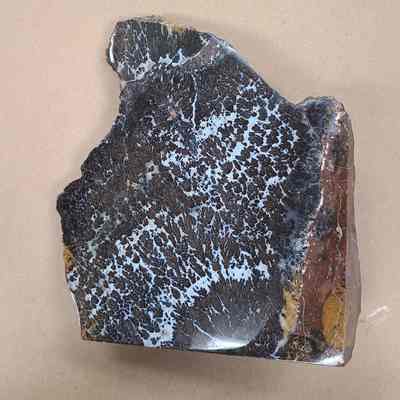 Dendritic Agate