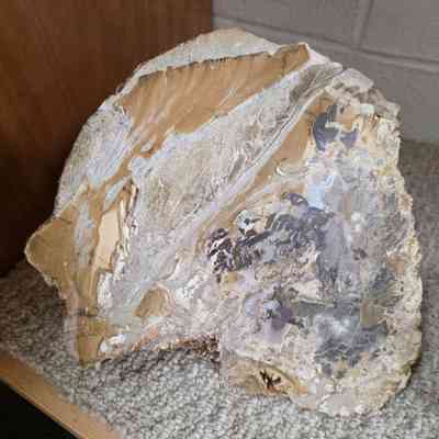 Agate log