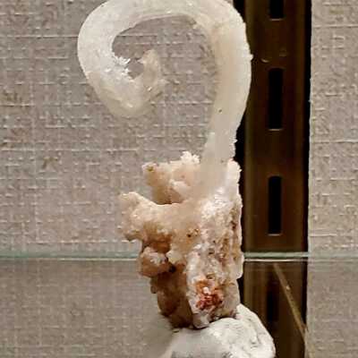 Rams Horn Selenite
