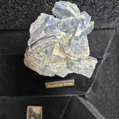 Sapphire Rose