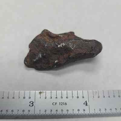 Iron Meteorite