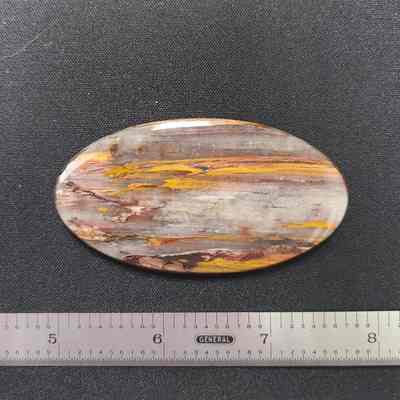 Petrified Wood