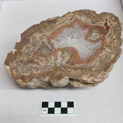 Thundereggs New Mexico