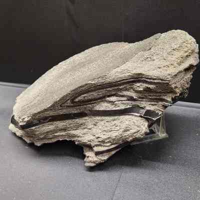 Banded Obsidian in Pumice