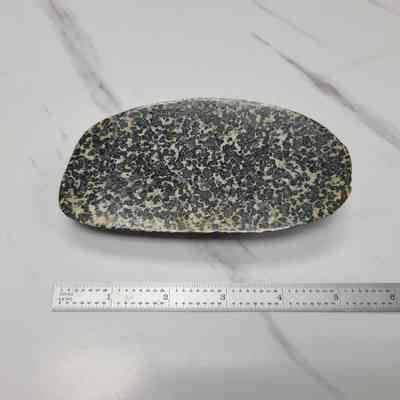 Oregon Dalmatian Stone