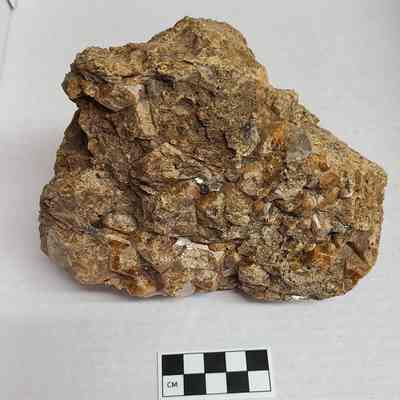Idaho Garnet