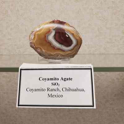 Coyamito Agate