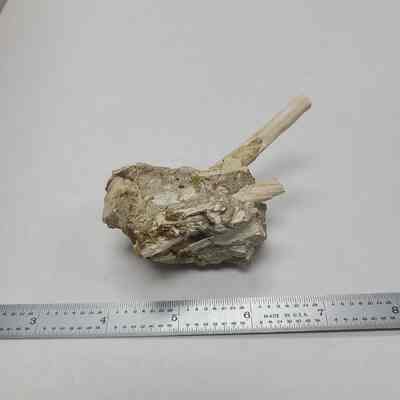 Limb cast