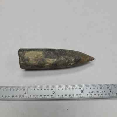 Belemnite Fossil
