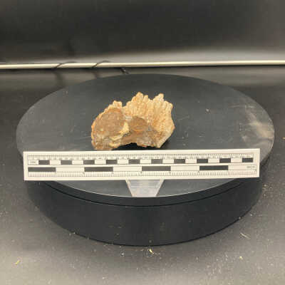 Zeolite with botryoidals