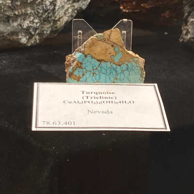 Turquoise