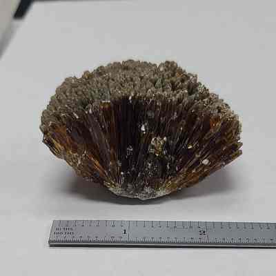 Amber Calcite
