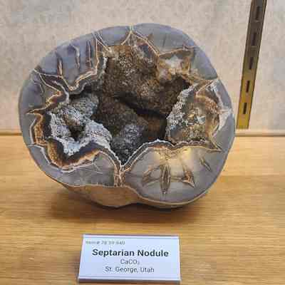 Septarian Nodule