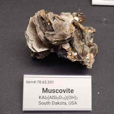 Muscovite