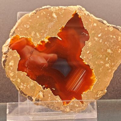 Thunderegg