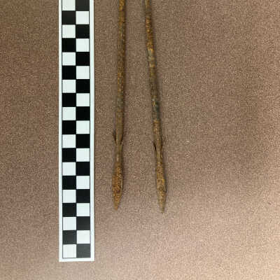Scythian Fishing Spears