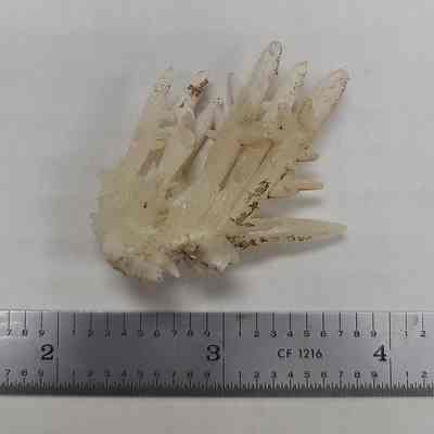 Aragonite