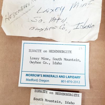 Original Purchase and ID Tags