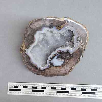 Thunderegg