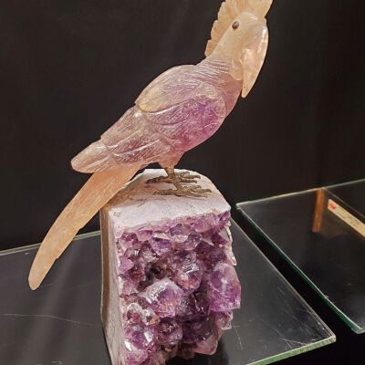 Cockatoo
