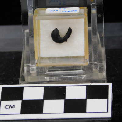 Meteorite Irghizite