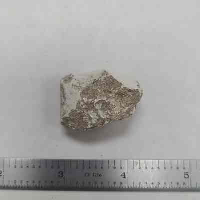 Dover Chalk