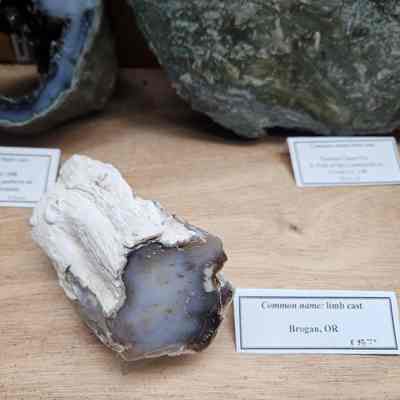 Limb Cast