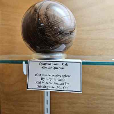 Oak Sphere