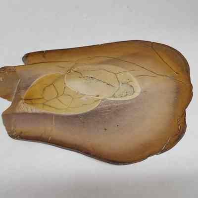 Bruneau Jasper