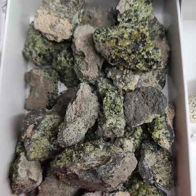 Lot of specimens