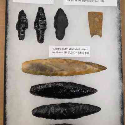 Projectile Point Board