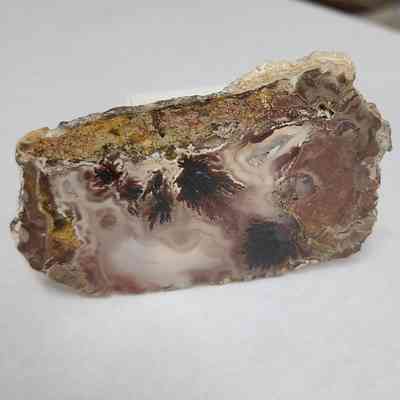 Plume Agate