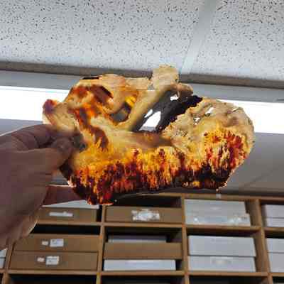 Plume Agate