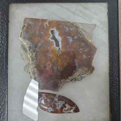 Wingate Plume Agate